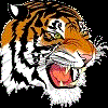 A picture containing text, tiger, big cat, mammal

Description automatically generated